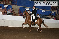 09r12-06429 thumbnail