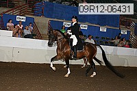 09r12-06431 thumbnail