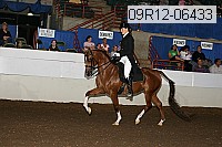 09r12-06433 thumbnail