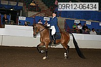 09r12-06434 thumbnail