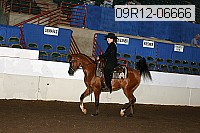 09r12-06666 thumbnail