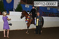 09r12-06667 thumbnail