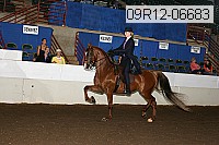 09r12-06683 thumbnail
