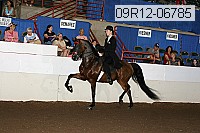 09r12-06785 thumbnail