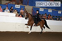 09r12-06786 thumbnail