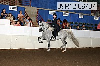 09r12-06787 thumbnail