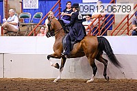 09r12-06789 thumbnail