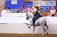 09r12-06790 thumbnail