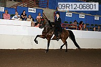 09r12-06801 thumbnail