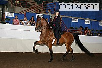 09r12-06802 thumbnail