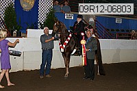 09r12-06803 thumbnail