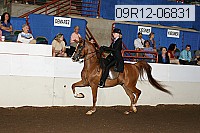 09r12-06831 thumbnail