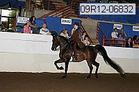 09r12-06832 thumbnail