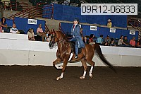 09r12-06833 thumbnail