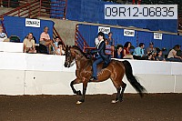 09r12-06835 thumbnail