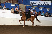 09r12-06837 thumbnail