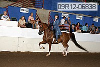 09r12-06838 thumbnail