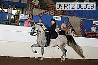 09r12-06839 thumbnail