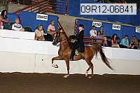 09r12-06841 thumbnail