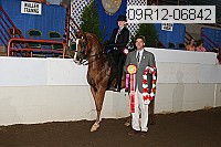 09r12-06842 thumbnail