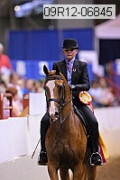 09r12-06845 thumbnail