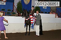 09r12-06851 thumbnail