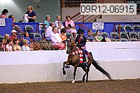 09r12-06915 thumbnail