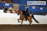 09r12-07006 thumbnail