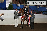 09r12-07009 thumbnail