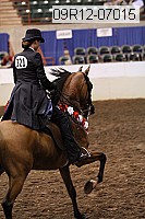 09r12-07015 thumbnail