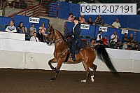 09r12-07191 thumbnail
