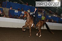 09r12-07207 thumbnail