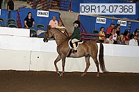 09r12-07368 thumbnail