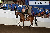09r12-07377 thumbnail