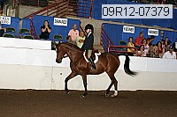 09r12-07379 thumbnail