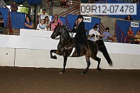09r12-07478 thumbnail