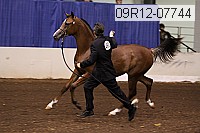 09r12-07744 thumbnail