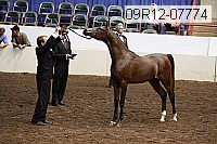 09r12-07774 thumbnail