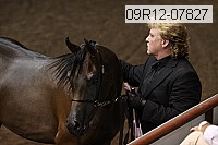 09r12-07827 thumbnail
