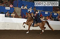 09r12-07859 thumbnail