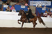 09r12-07860 thumbnail