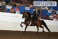 09r12-07861 thumbnail
