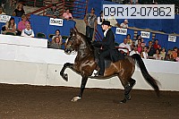 09r12-07862 thumbnail