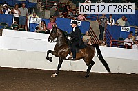 09r12-07865 thumbnail