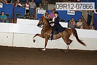 09r12-07866 thumbnail