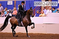 09r12-07869 thumbnail