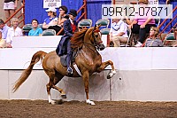 09r12-07871 thumbnail