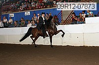 09r12-07873 thumbnail