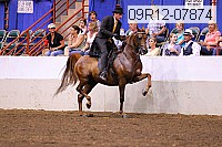 09r12-07874 thumbnail