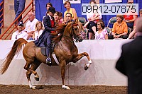 09r12-07875 thumbnail